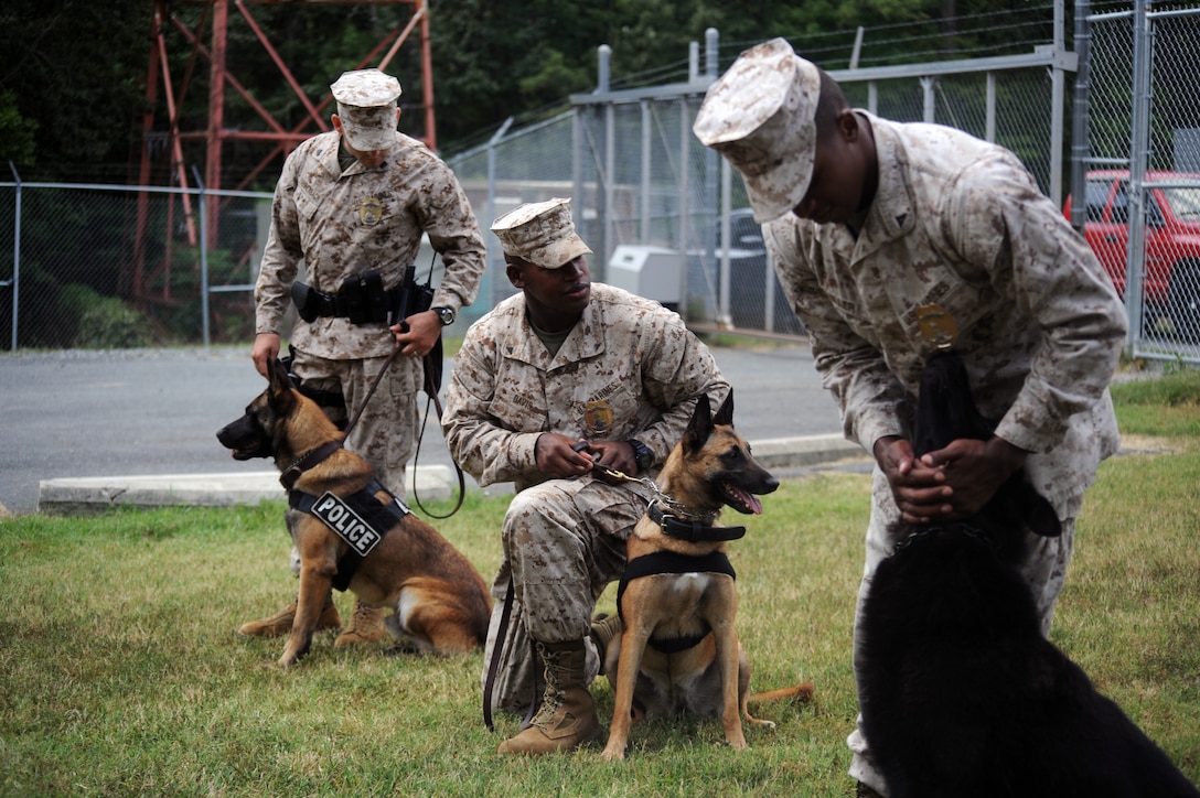 Sgt. Joseph Fahrenbach, Lance Cpl. Alton Davis and Lance Cpl. Ryan Miller interact with their dogs Rony, Jesse and Pepo outside of the working dog kennel at Marine Corps Base Quantico on July 30. The dogs are placed with handlers who have similar personality traits.