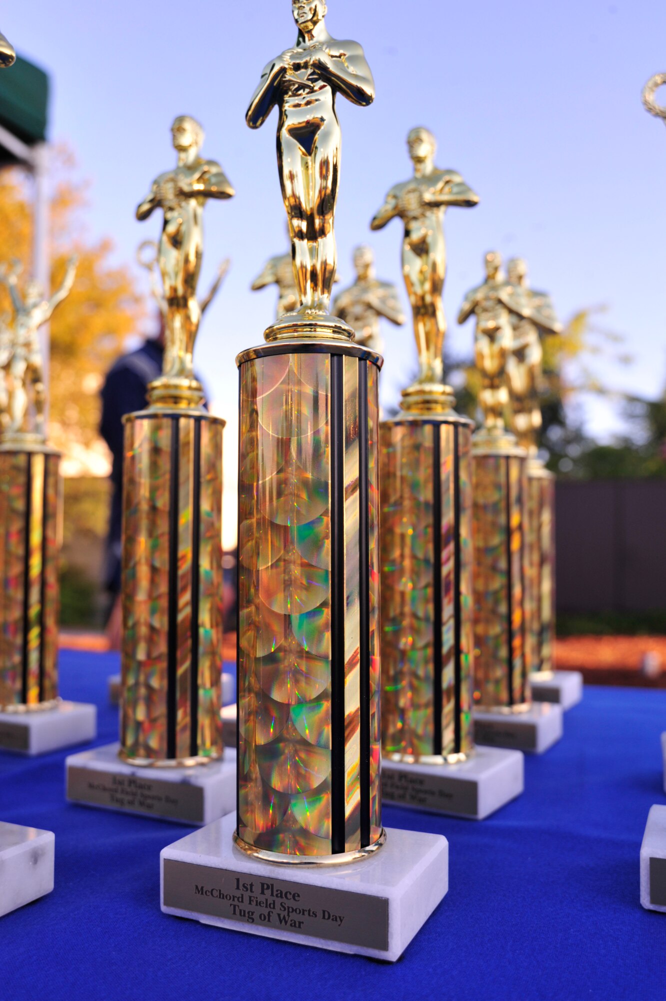 Trophies are lined up prior to Sports Day activities Aug. 24, 2012, at Joint Base Lewis-McChord, Wash. There were 10 events during Sports Day and the overall winner was the 5th Air Support Operations Squadron. (U.S. Air Force photo/Staff Sgt. Frances Kriss)