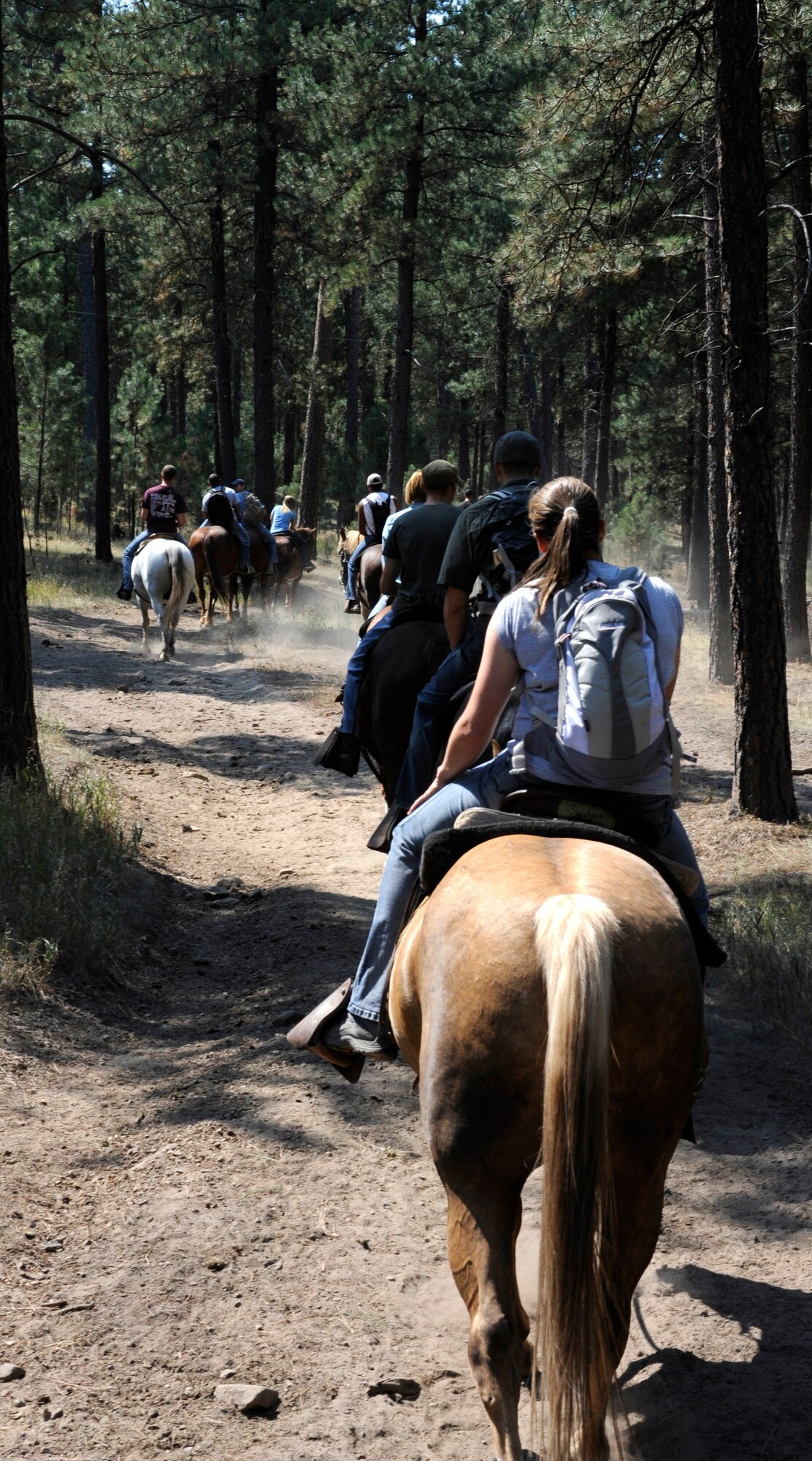 Airmen from Ellsworth ride horseback through Custer State Park during a trip organized by the 28th Force Support Squadron Outdoor Recreation office in Custer, S.D., Aug. 26, 2012. The two-hour trail ride offered scenic views through hills and wooded areas, and is one of many events Outdoor Recreation schedules to provide Airmen opportunities to enjoy the local area. (U.S. Air Force photo by Airman Ashley J. Woolridge/Released)