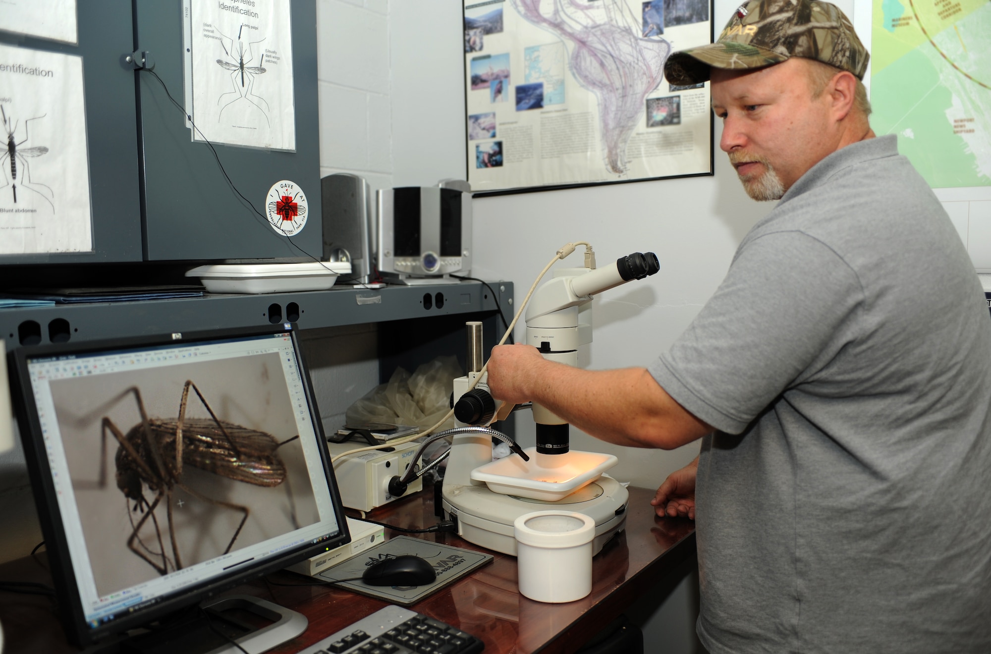 James Will Jr., 633rd Civil Engineer Squadron entomology foreman, uses a microscope to identify the types of mosquitoes located on Langley Air Force Base, Va., and the surrounding area, April 5, 2012. Entomologists use this information to prevent disease vectors from populating on the base. (U.S. Air Force photo by Airman 1st Class Teresa Cleveland/Released)