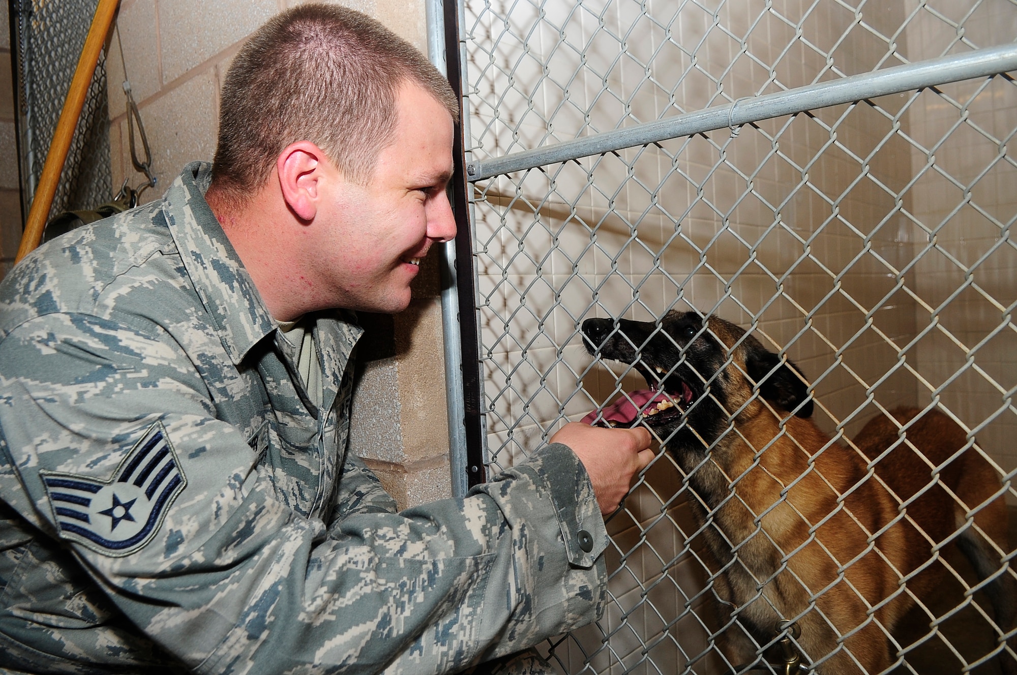 U.S. Air Force Staff Sgt. Johnathan Cooper, 20th Security Forces Squadron canine handler, pets and talks to Military Working Dog Astra in her kennel at Shaw Air Force Base, S.C., Aug. 17, 2012. All military working dogs from every branch of the military are sent to Lackland Air Force Base, Texas for fundamental training. (U.S. Air Force photo by Airman 1st Class Hunter Brady/Released)