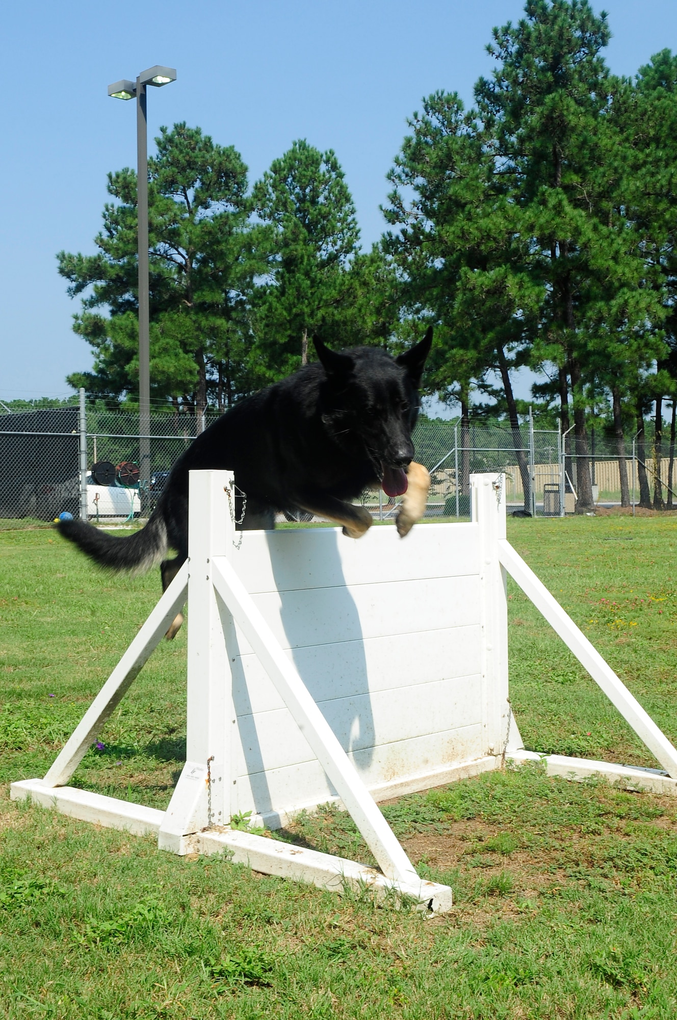 U.S. Air Force Military Working Dog Barras leaps over an obstacle during a routine exercise at Shaw Air Force Base, S.C., Aug. 17, 2012. All military working dogs from every branch of the military are sent to Lackland Air Force Base, Texas for fundamental training. (U.S. Air Force photo by Airman 1st Class Hunter Brady/Released)