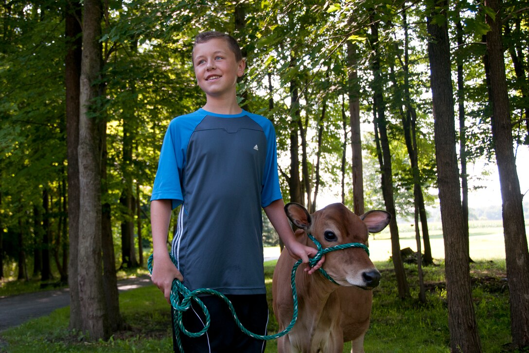 FOWLER, Ohio —U.S. Air Force Reserve Lt. Col. Thomas “Bart” Elsea’s son helps his father with feeding time for their jersey cows Aug. 16 here. Elsea, warlord for the upcoming Operational Readiness Inspection and director of operations for the 910th Operations Support Squadron at the Youngstown Air Reserve Station, Ohio, owns award-winning cows located at four farms and will bring several of them to compete at the 2012 Canfield Fair in Canfield Aug. 29 to Sept. 3. U.S. Air Force photo by Tech. Sgt. Brenda Haines/Released