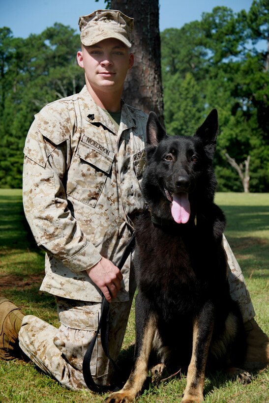 Sgt. Shain Nickerson, a military working dog handler with the Provost Marshal's Office, kneels next to his military working dog, Luis, Aug. 17, aboard Marine Corps Air Station Cherry Point, N.C.