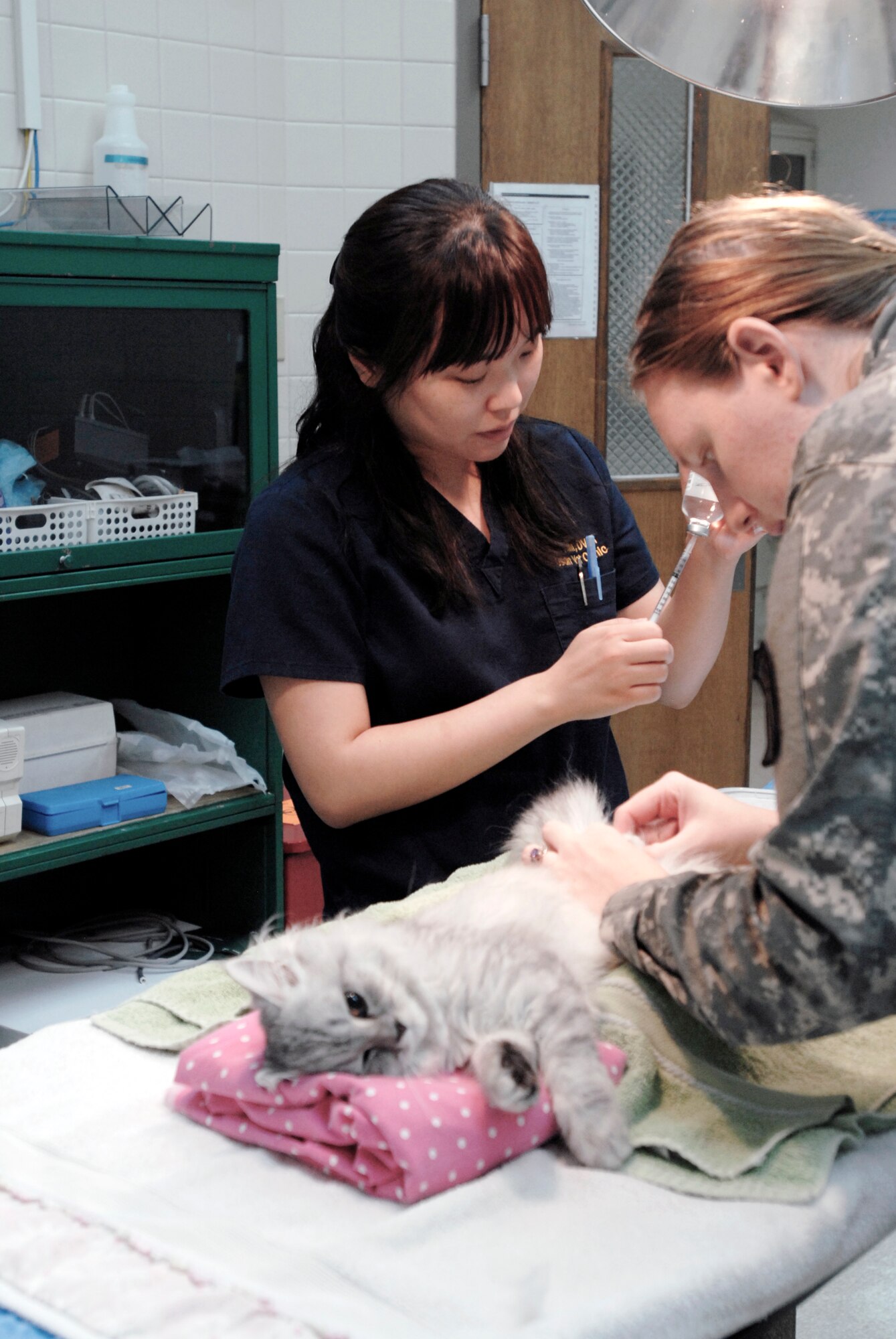 Army Capt. Alicia O’Toole, 106th Medical Detachment veterinary services support officer in charge, and Kyong-Mi Kim, 106th Medical Detachment veterinarian, neuter Prince at Osan Air Base, Republic of Korea, Aug. 22, 2012.  The base vet clinic cares for more than 100 clients; most of which are privately owned pets. (U.S. Air Force photo/Airman 1st Class Alexis Siekert)