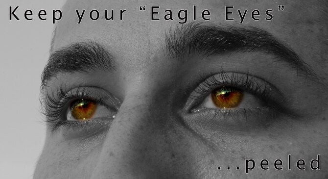 "Eagle Eyes" is a community-based defensive program designed to identify potential indicators of terrorist activity. It is an initiative that enlists the eyes and ears of base members in the war on terror. If you're ever in a situation where you hear of or see suspicious activity, you should report it to the Air Force Office of Special Investigations at 226-3116 or the 35th Security Forces Squadron at 226-4358. (U.S. Air Force photo illustration by Airman 1st Class Kia Atkins/Released)