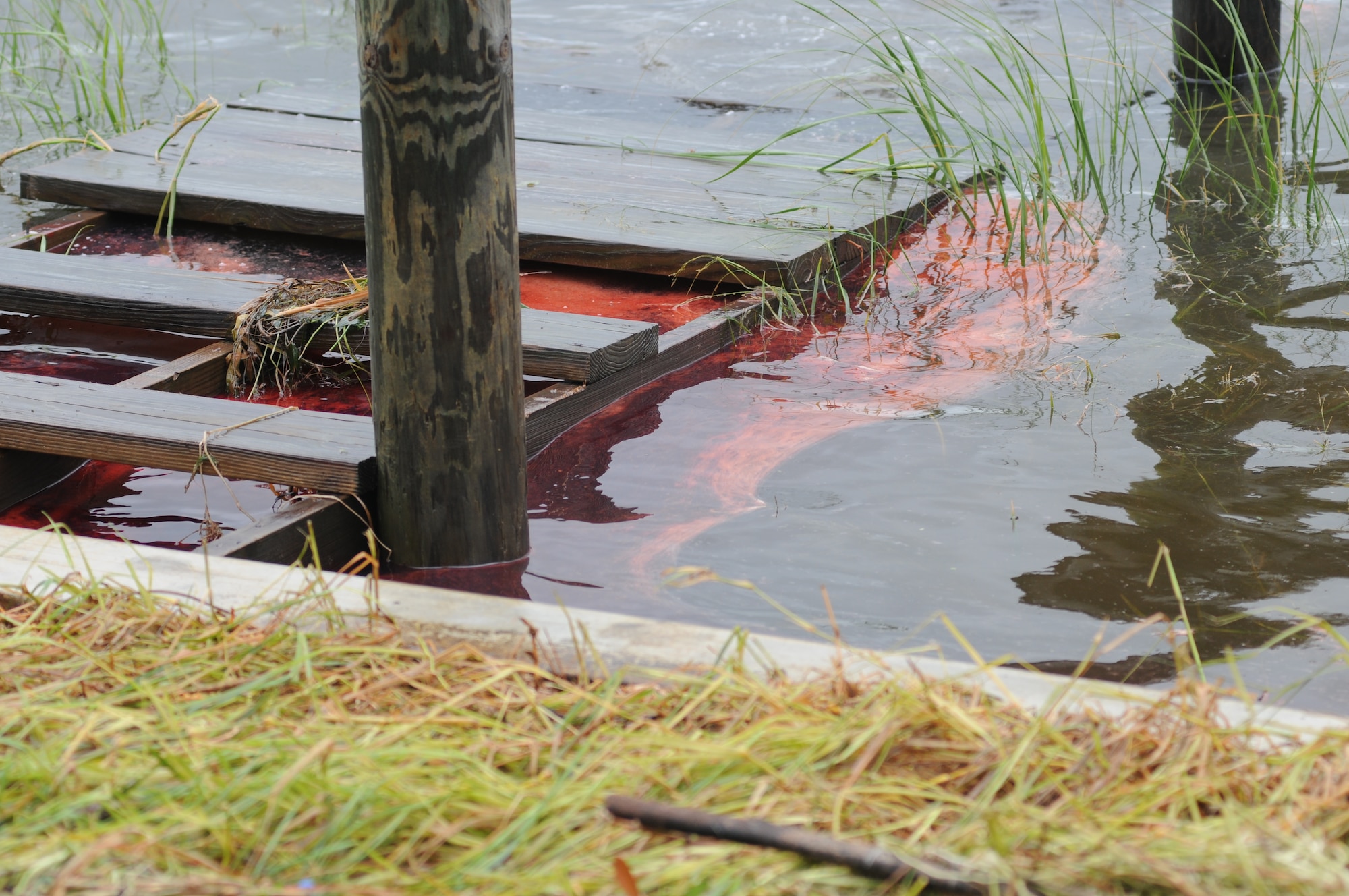 Fuel is visible in the Biloxi Back Bay, Miss., Aug. 30, 2012. Keesler and local environmental officials responded to a nearly 3,000-gallon diesel fuel spill from a generator that leaked from the base commissary into Biloxi’s Back Bay.  (U.S. Air Force photo by Kemberly Groue)