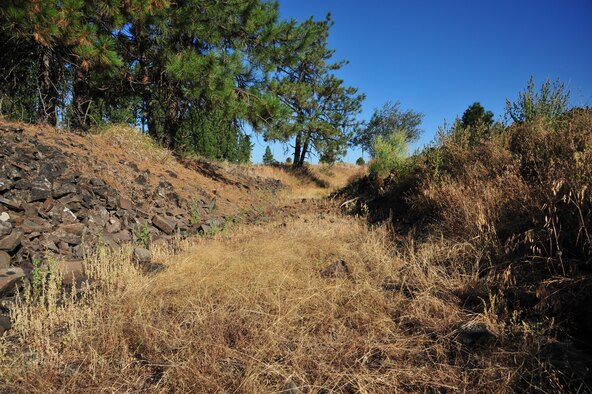 A look at a ditch, which is a natural habitat for deer at Fairchild’s nature trail located near the Survival Evasion Resistance and Escape side of Fairchild Air Force Base, Wash., Aug. 23, 2012. Deer travel through these so they are hard to see and it creates a second travel route. This ditch is nearly one mile long. (U.S. Air Force photo by Airman 1st Class Earlandez Young)