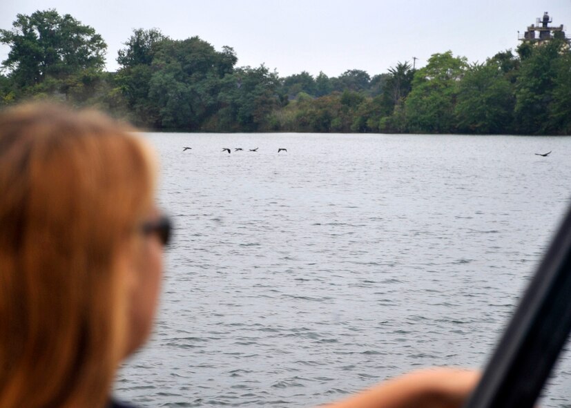 Melody Henderson watches a flock of birds fly off Aug. 28, 2012, at Pioneer near Dover Air Force Base, Del. Henderson attempted to keep the birds from congregating around an area near Dover AFB. (U.S. Air Force photo by Tech. Sgt. Chuck Walker)