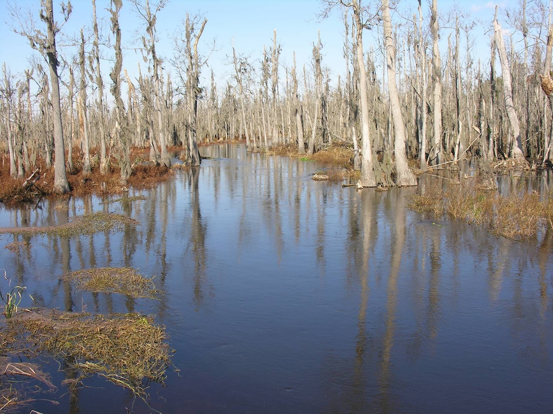 The Charleston District completes maybe ecosystem restoration projects, such as this one in the Pocotaligo Swamp.