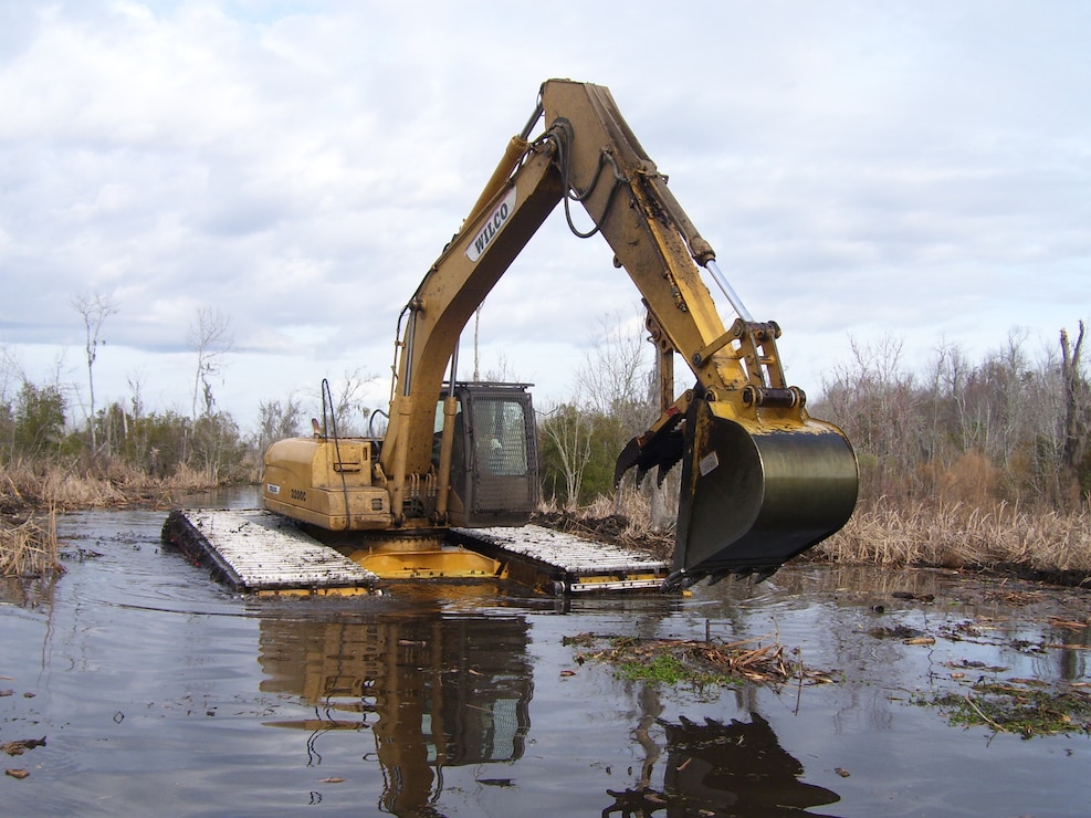 Pocotaligo Swamp