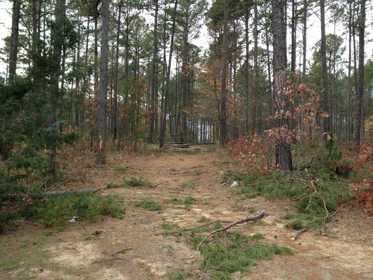 Josh Park Memorial Trail will be closed until March 2013 to complete a project aimed to enhance the popular trail and improve the health of a dense pine forest.