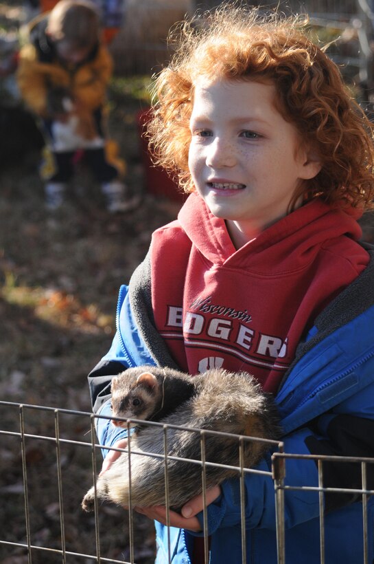 animal domain jacket