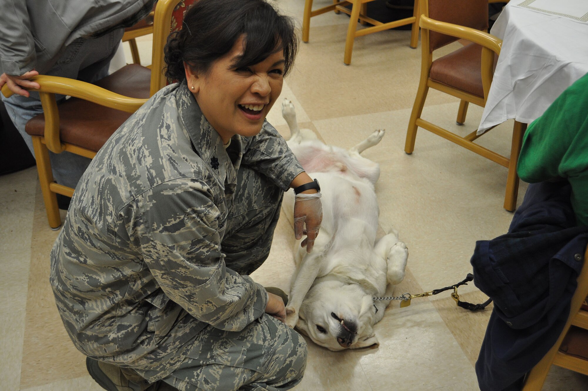 TRAVIS AIR FORCE BASE, Calif. -- Airmen from the 349th Air Mobility Wing "Give Thanks' by serving dinner to these veterans who have paved the way for the military we have today. Along with their friends and family, they share fellowship and a scrumptious turkey dinner with the men and women who, happily, shared there military stories and experiences.  (U.S. Air Force photo / Senior Master Sgt. Ellen Hatfield) 