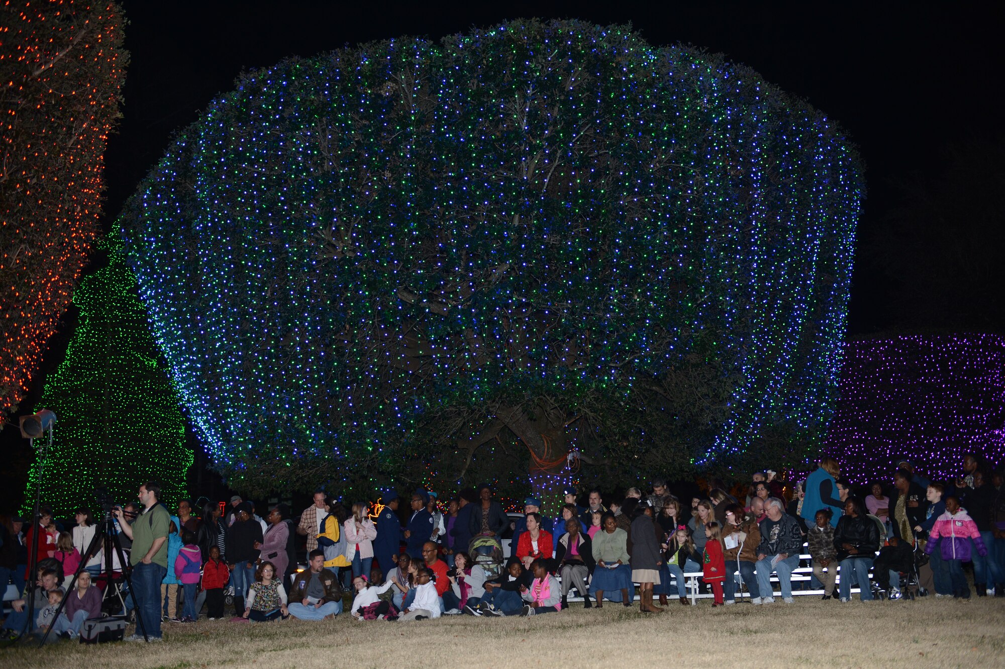 Members of the Sumter community gather at Swan Lake, S.C., for the kick off of the Fantasy of Lights, Dec. 1, 2012. Lights were set up throughout the park and along the fence. Many of the designs were created by community members. (U.S. Air Force photo by Airman First Class Krystal M. Jeffers/Released)