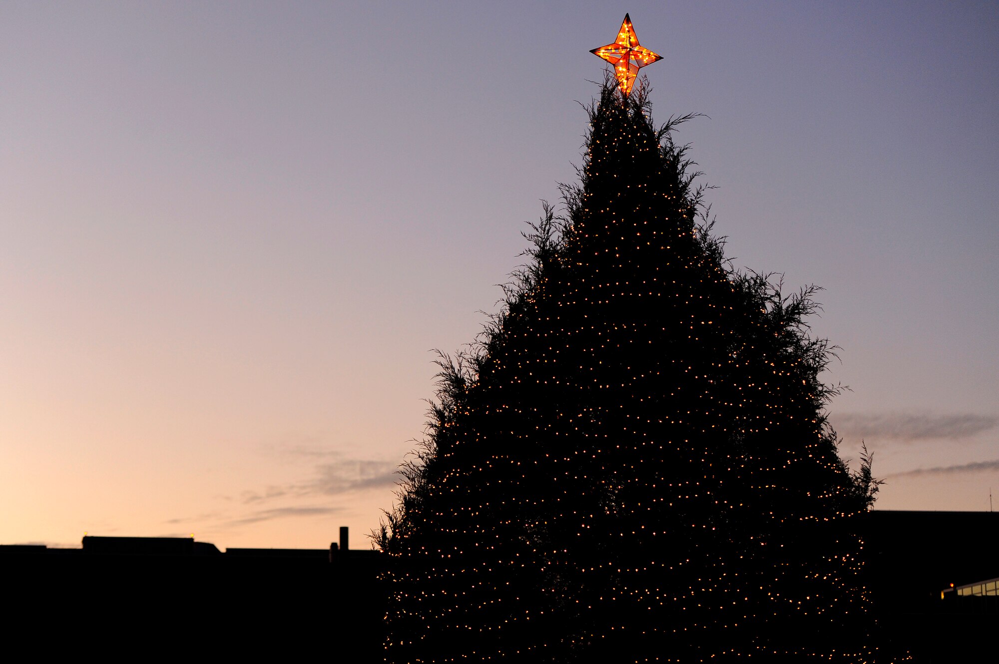 The Sumter Christmas tree stands illuminated against the night sky just in front of the Sumter County Courthouse after being lit for the first time this year during the Sumter County Council Christmas Tree Lighting Ceremony, Nov. 30, 2012, Sumter S.C. The annual ceremony brought about the holiday spirit as several elementary, junior high, and high school choirs performed Christmas carols for those who gathered at the courthouse to witness the celebration. (U.S. Air Force photo by Staff Sgt. Kenny Holston/Released)