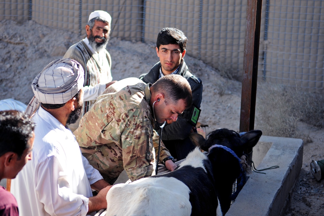 U.S. Army Capt. Shawn Basinger conducts training with local Afghans in Farah City in Afghanistan's Farah province, Dec. 1, 2012. Basinger, a veterinarian, is assigned to the 438th Medical Detachment Veterinary Services.