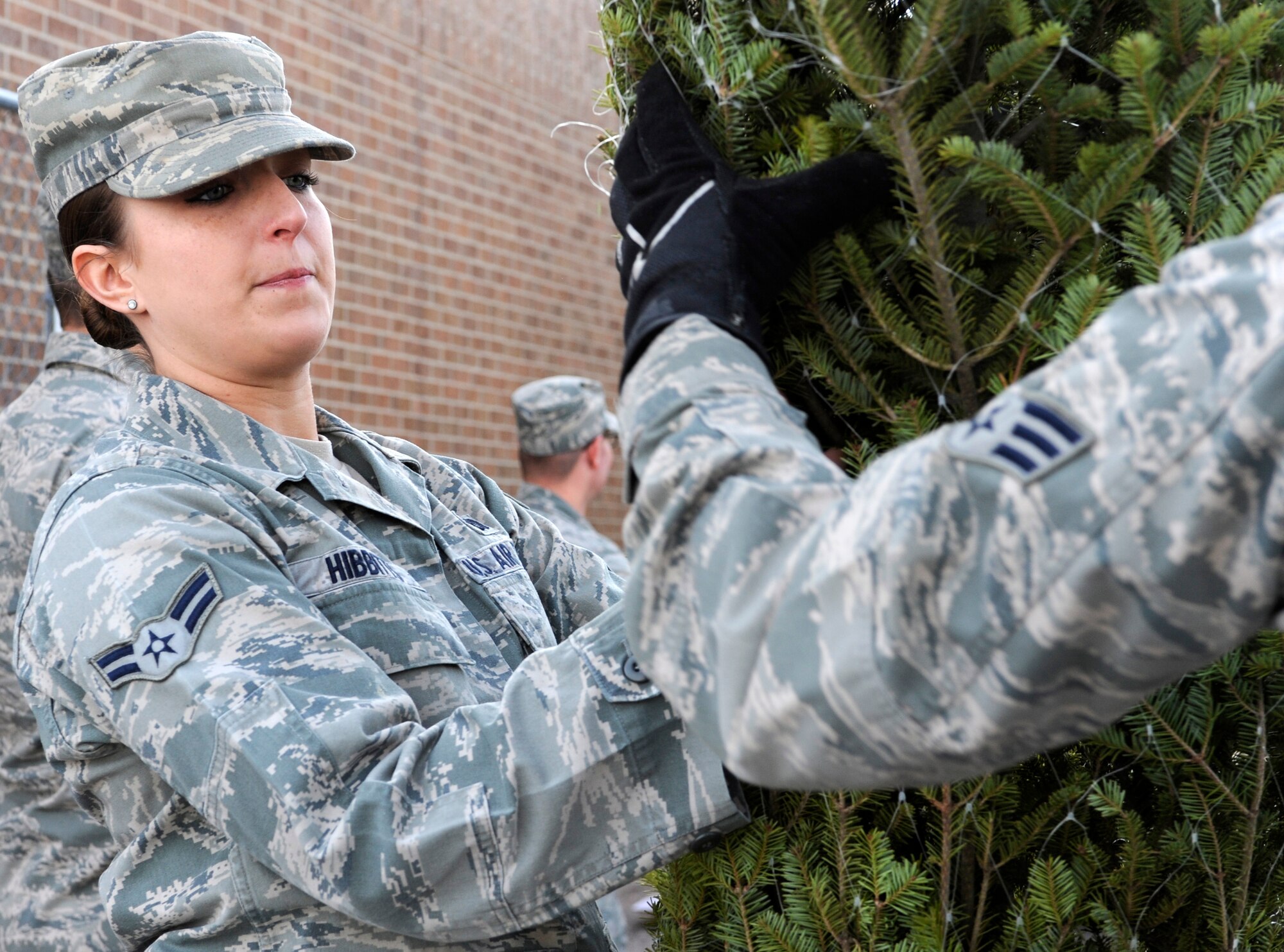 Airman 1st Class Leslie Hibbitts, 28th Contracting Squadron contract administrator, passes a Christmas tree to a fellow volunteer during Trees for Troops outside the 28th Force Support Squadron Outdoor Recreation Office at Ellsworth Air Force Base, S.D., Nov. 30, 2012. Tree farms from Iowa, Kansas and Missouri donated 235 trees for the event, providing Airmen with a free Christmas tree to thank them for their service. (U.S. Air Force photo by Airman Ashley J. Woolridge/Released) 