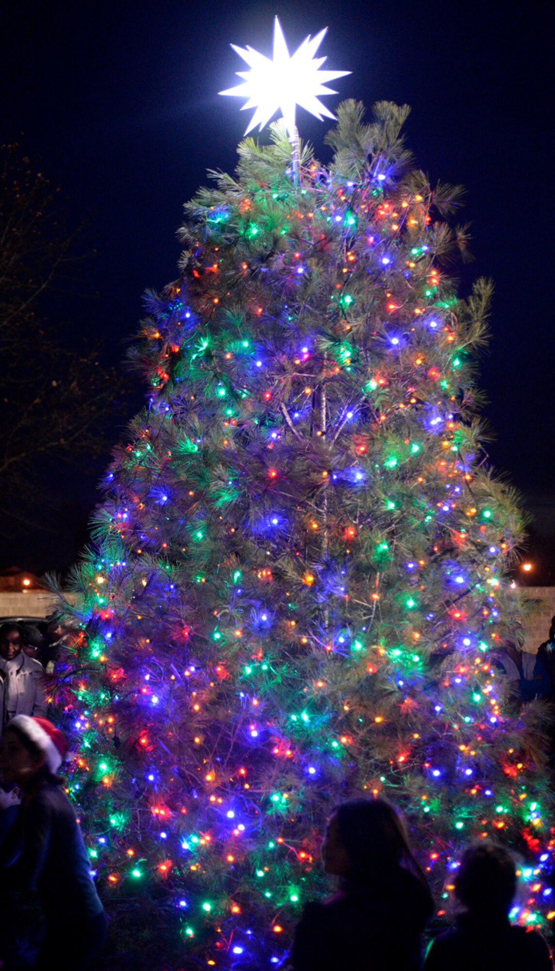 The crowd watches as the Christmas Tree is lit during the tree lighting ceremony Dec. 4, 2012, at the base chapel on Dover Air Force Base, Del. Col. Rick Moore, 436th Airlift Wing commander kicked off the holiday season on base by lighting the tree following a parade through base housing. (U.S. Air Force photo by Tech. Sgt. Chuck Walker)