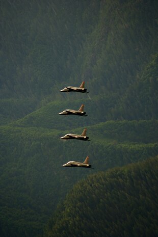 T-38 Talon’s from Beale Air Force Base Calif. (Courtesy Photo/ Released)