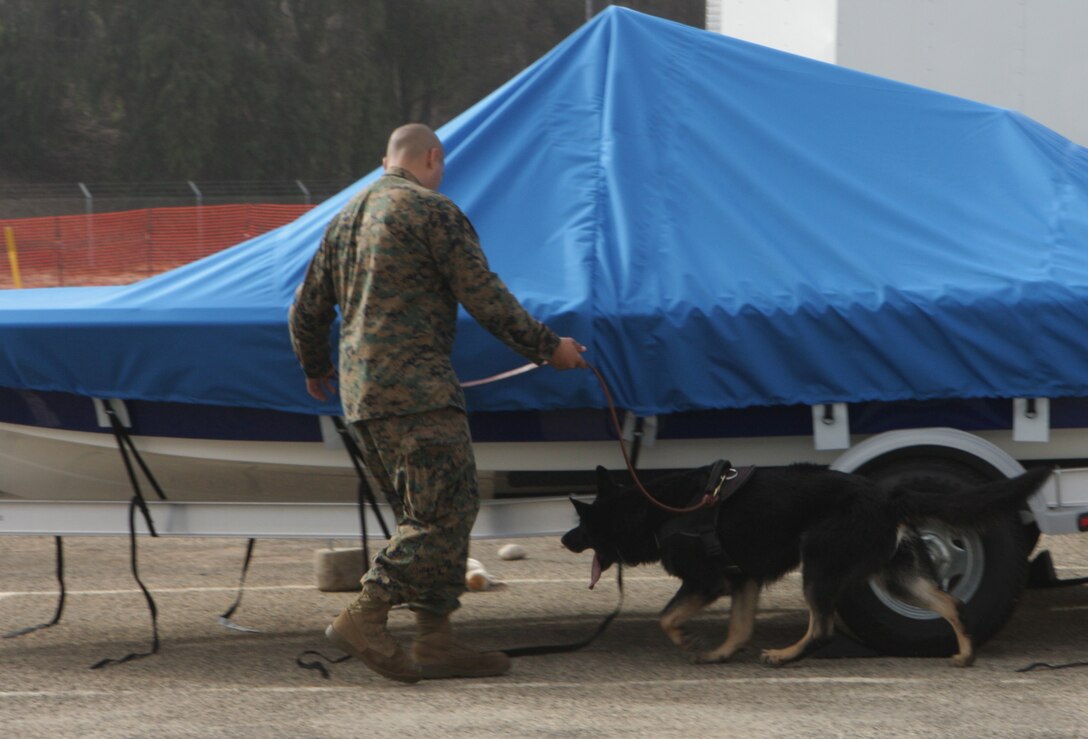 Cpl. Teodoro Banda, a military working dog handler with the Provost Marshal's Office and a San Mateo, Texas, native, and Lutyo, his military working dog, look for scented aids during a explosive and drug detection training exercise at the Recreational Vehicle Parking Lot east of Marine Corps Air Station Miramar, Calif., Dec. 5. The dogs train to find the scent of drugs can differentiate the smells of several drugs.