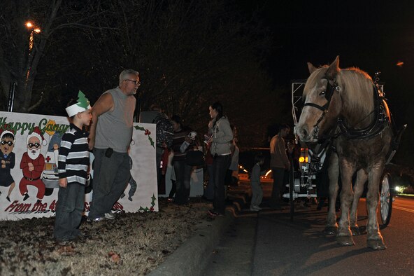 Members of Team Seymour wait for their opportunity to take a carriage ride during the annual tree lighting ceremony at Seymour Johnson Air Force Base, N.C., Dec. 3, 2012. Patrons were given the opportunity to ride in a horse-drawn carriage around the block. (U.S. Air Force photo/Airman 1st Class John Nieves Camacho/Released)