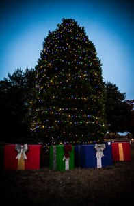 The Joint Base Charleston – Air Base holiday tree officially opens the holiday season during the tree lighting ceremony Dec. 5, 2012. The ceremony included a visit from Santa Claus and the announcement of the Air Base Holiday Card Contest winner. (U.S. Air Force photo/ Senior Airman Dennis Sloan)