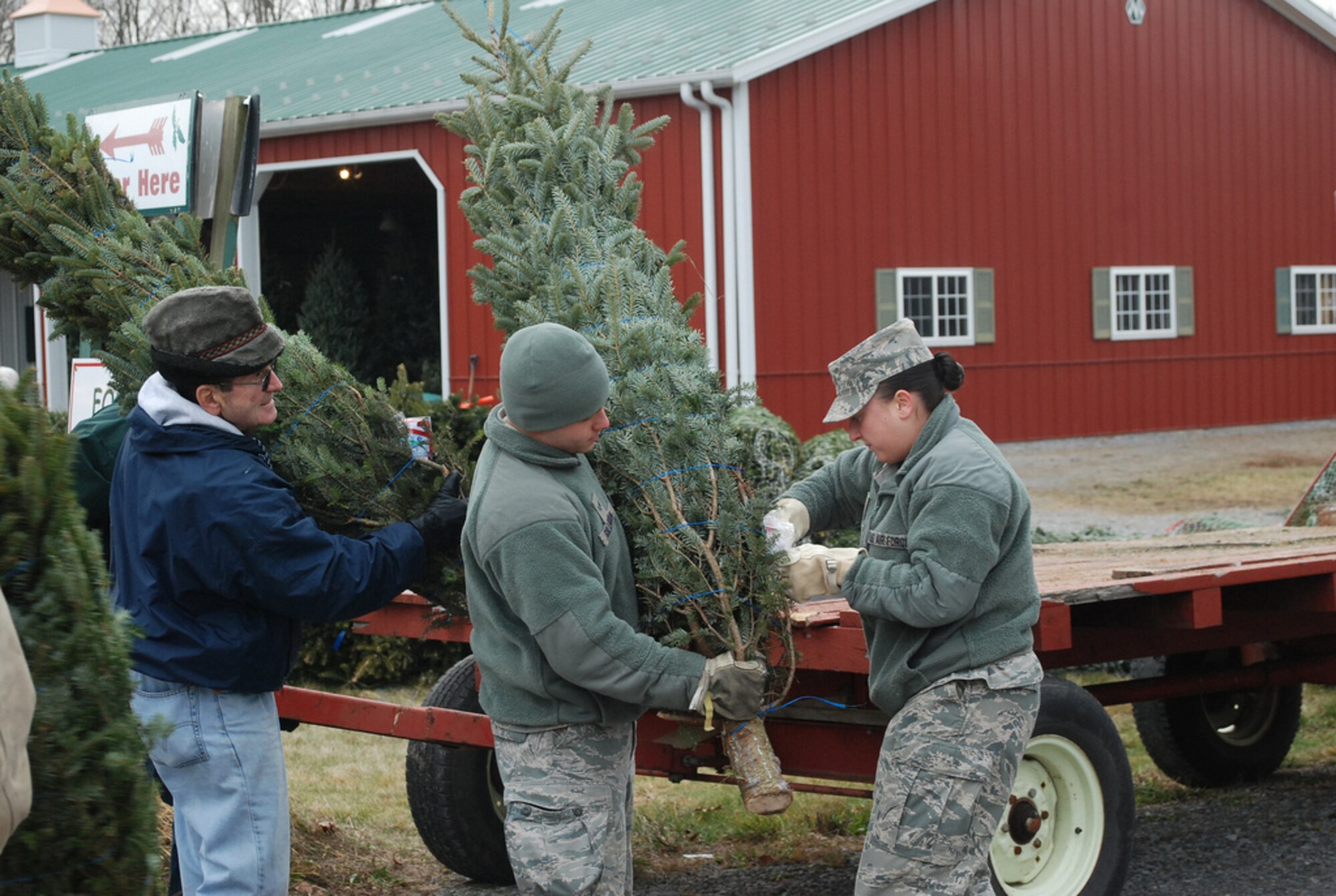 BALLSTON SPA, N.Y. -- New York Air National Guard members of the 109th Airlift Wing from Scotia, N.Y. volunteer their time to assist FedEx driver Don Pelletier load Christmas Trees here at Ellms Christmas Tree Farm Dec. 7. Nearly 20 Airmen volunteered to assist in the annual "Trees for Troops" loading of about 150 donated trees bound for military installations and families around the country and the globe. U.S. Army photo by Col. Richard Goldenberg, New York Army National Guard. (RELEASED)
