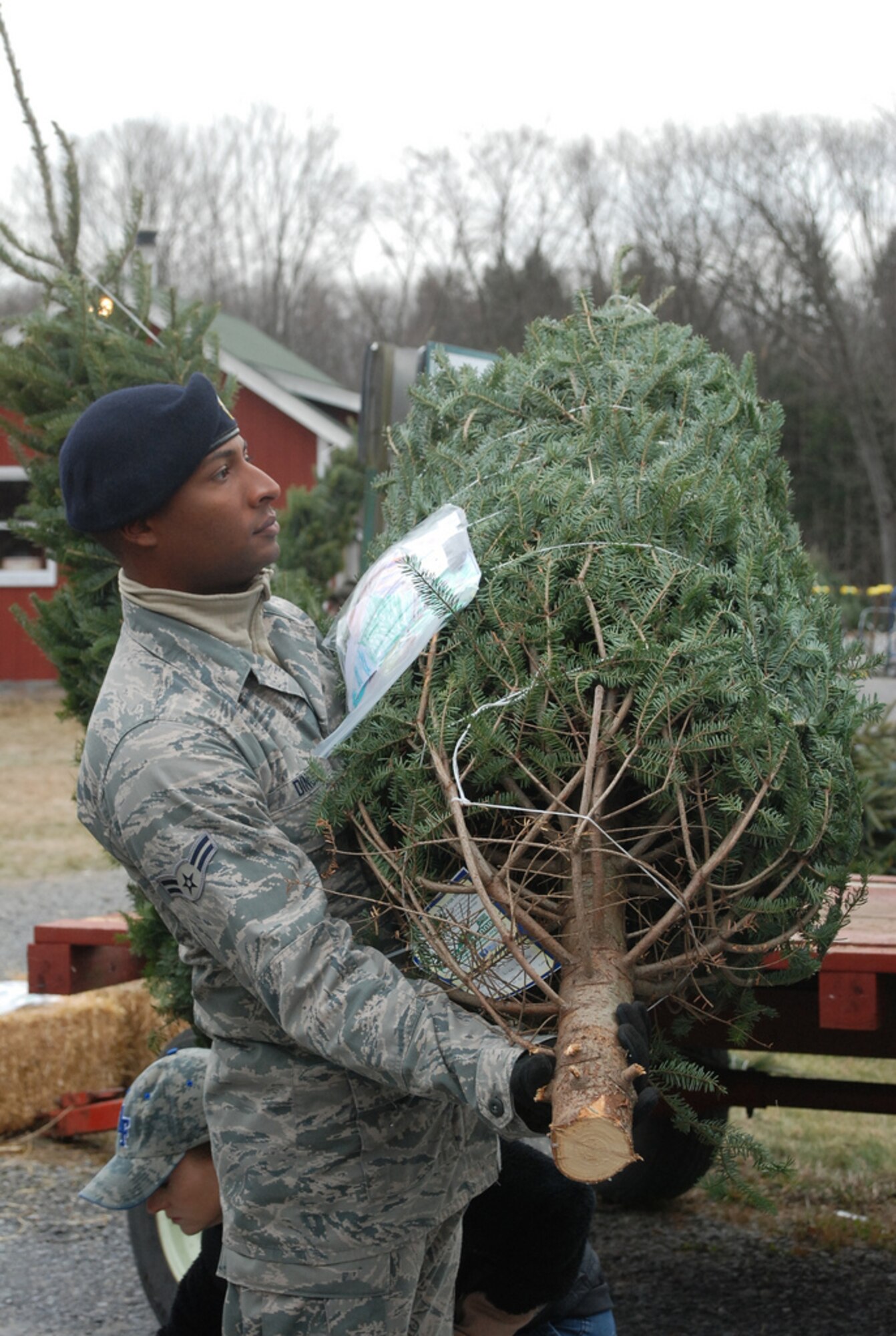 BALLSTON SPA, N.Y. -- New York Air National Guard members of the 109th Airlift Wing from Scotia, N.Y. volunteer their time to assist FedEx driver Don Pelletier load Christmas Trees here at Ellms Christmas Tree Farm Dec. 7. Nearly 20 Airmen volunteered to assist in the annual "Trees for Troops" loading of about 150 donated trees bound for military installations and families around the country and the globe. U.S. Army photo by Col. Richard Goldenberg, New York Army National Guard. (RELEASED)