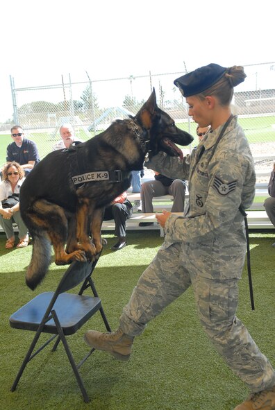 Chrach, 56th Security Forces Squadron military working dog, and Staff Sgt. Jessica Johnson, his handler, perform a place command at the SFS kennels. During a place command, the dog will place all four paws onto an object and not move until told another command. (U.S. Air Force photo by A1C David Owsianka)
