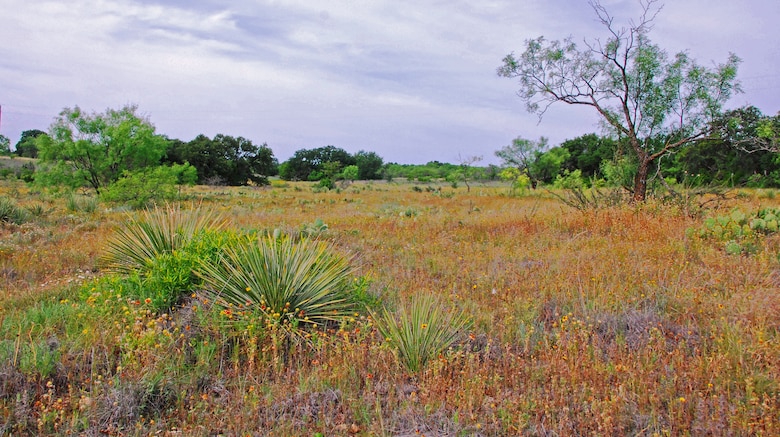 A scenic view of the area around Hords Creek Lake on June 2, 2012.