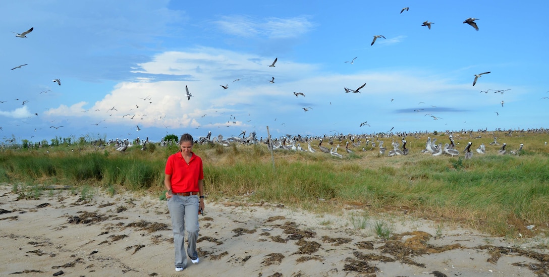 Wilmington District marine biologist Jessica Mallindine walks past nesting pelicans who make their home on a former dredge material disposal site in the Cape Fear River near Wilmington, North Carolina.  The island is one of several that are some of the only nesting areas for seabirds in southeastern North Carolina.  (USACE photo by Hank Heusinkveld)