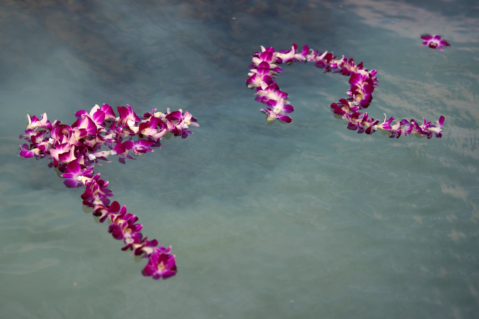 Per Hawaii tradition, leis were tossed into the water in the waters of Pearl Harbor after the ashes of Senior Master Sgt. (Ret.) Raymond Perry were spread Dec. 7, 2012, at Joint Base Pearl Harbor-Hickam, Hawaii. Perry was a Dec. 7, 1941, Hickam Field attack survivor whose wishes were for his family to return him to Hickam and spread his ashes. He served 26-years in the Air Force and was a founding member of the pararescue career field. He returned to Hickam and serve for more than 20 years as a fire inspector for the Hickam fire department. This is the first time a Hickam Field survivor has had their remains scattered at Hickam Field. (U.S. Air Force photo/Staff Sgt. Mike Meares)
