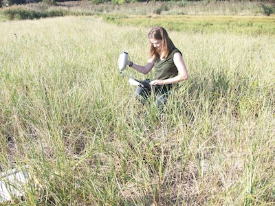 Charleston Harbor Post-45 Study field work.