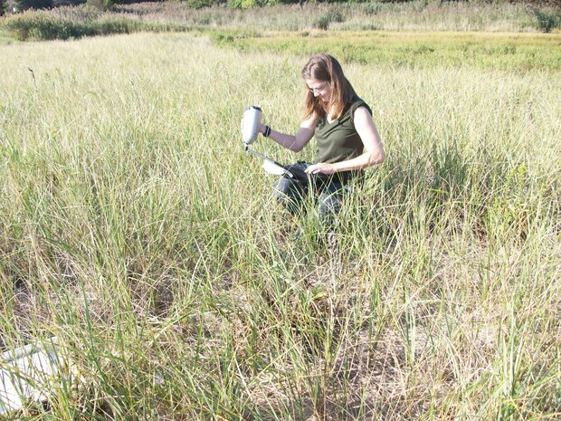 Charleston Harbor Post-45 Study field work.