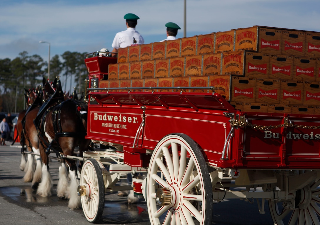 Budweiser’s infamous Clydesdale horses walk around the parking lot of the Marine Corps Base Camp Lejeune Marine Corps Exchange as families watch and take pictures Dec. 8. The well-known horses drew a large crowd of people who were going to the MCX, and when the horses stopped, people swarmed to them to take pictures up close.  