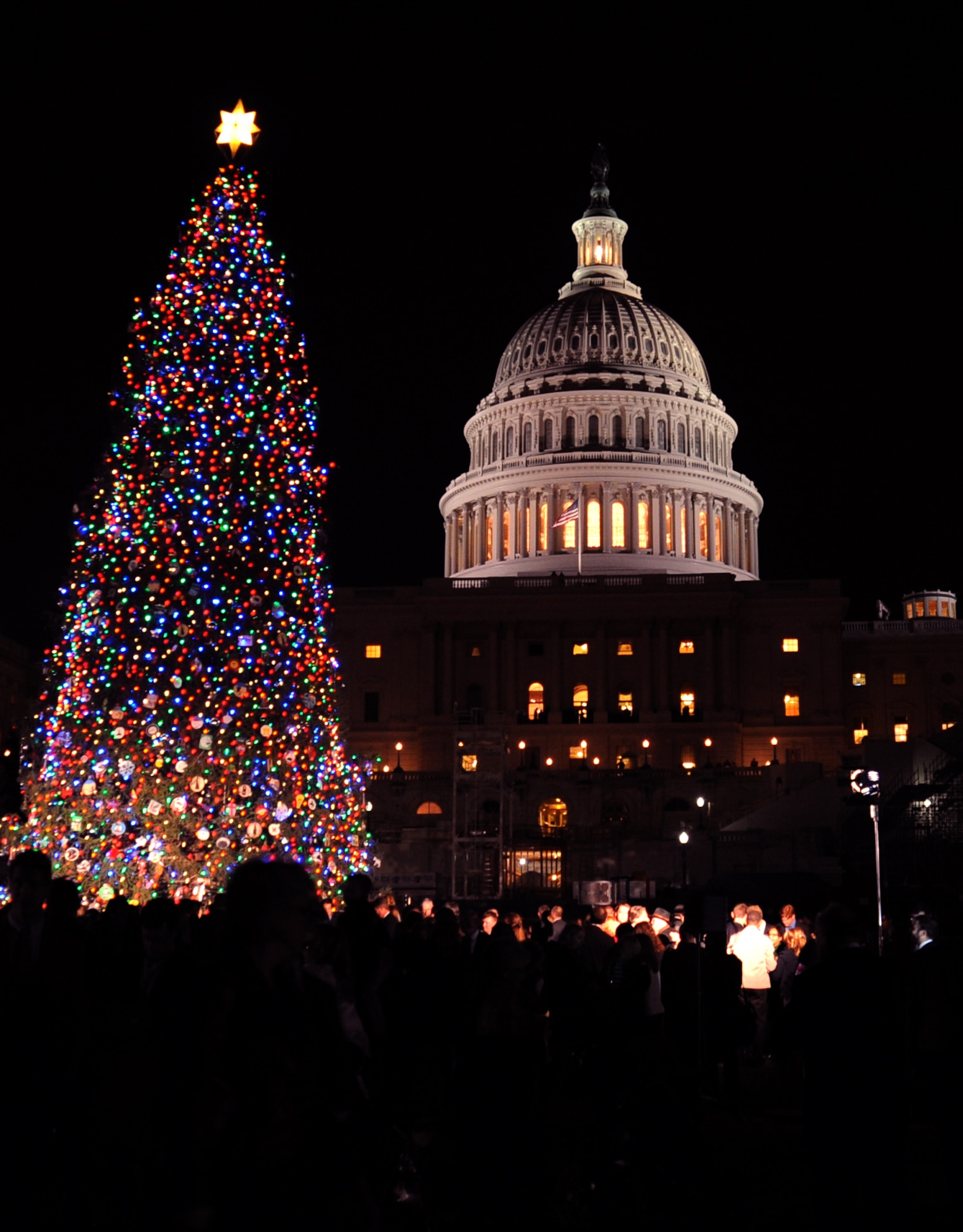 Visitors veiw the Capitol Christmas Tree on the West Front Lawn of the Capitol Building in Washington, D.C., Dec. 4, 2012. The U.S. Air Force Band Ceremonial Brass ensemble played traditional holiday music for the lighting ceremony. (U.S. Air Force photo/Staff Sgt. Torey Griffith)