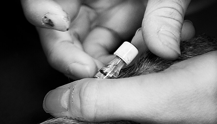 The distinguished career of the 5th Security Forces Squadron Military Working Dog: Jessey, came to a close after six years of dedicated and honorable service to the U.S. Air Force. MWD Jessey served Minot Air Force Base for five years and was attached to only three handlers. In June, MWD Jessey‘s annual blood work revealed life threatening bone marrow cancer, which consequently led to loss of sight in her right eye barring her from further service. Staff Sgt. Eric Rod, was Jessey’s final handler and best friend when she was officially retired from duty on Nov. 20. (U.S. Air Force photos/ Tech. Sgt. Aaron Allmon)