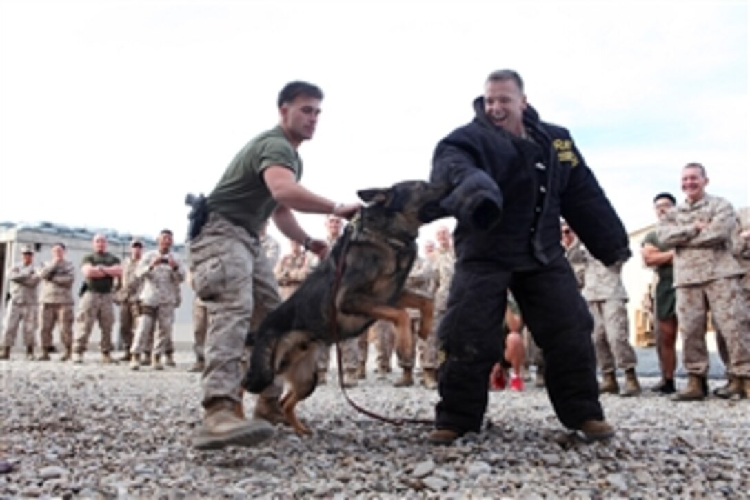 U.S. Marine Corps Col. Richard T. Bew, right, participates in a demonstration conducted by U.S. Marine Corps Lance Cpl. Cebastian J. Barrett and his patrol explosive detection dog, Kevin, on Camp Leatherneck in Helmand province, Afghanistan, Dec. 5, 2012. Bew is assigned to the 3rd Marine Aircraft Wing Forward, and Barrett and Kevin are assigned to the 1st Law Enforcement Battalion, I Marine Expeditionary Force Forward. 