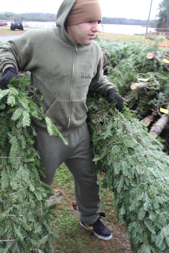 Lance Cpl. Stephen Quijano, a Marine Aircraft Group 14 Marine, carries two Christmas trees during the 2012 Trees for Troops event at Hancock Marina Dec. 10. The Marines who volunteered unloaded two FedEx trailers with more than 500 trees, all donated by a Massachusetts tree farm.