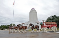 The Budweiser Clydesdales stop at the Joint Base San Antonio-Randolph Taj Mahal Dec. 14 at JBSA-Randolph. The Clydesdales are in town to salute members of JBSA. (U.S. Air Force photo by Benjamin Faske)