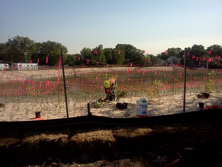 Contractor planting upland shrubs in the newly restored marsh area at the Soundview Park Ecosystem Restoration Project. 