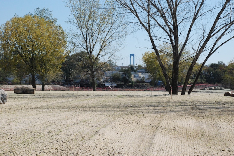 Recently seeded upland meadow at Soundview Park Ecosystem Restoration Project, looking east towards Whitestone Bridge. 