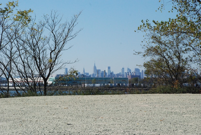 New York City skyline as seen from the upland meadow area. 