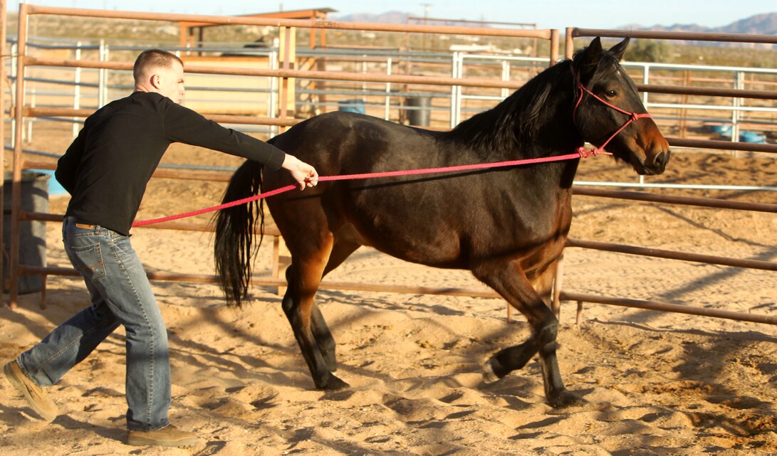 Lance Cpl. Josh Clark, Wounded Warrior Battalion West, lunges his horse, Nevada, during his semiweekly visit to Sinwood Ranch Dec. 11, 2012, as part of the Horsemanship Program.