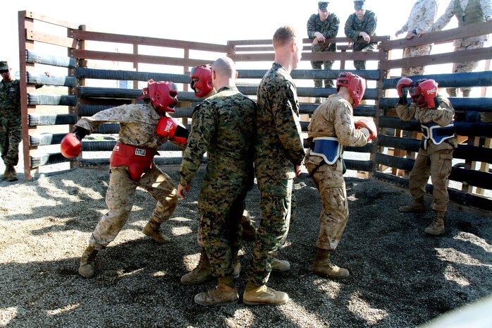 Weapon and Field Training Battalion field instructors mediate body sparring bouts between recruits of Plt. 2111, Co. E, 2nd Recruit Traning Battalion, during the Crucible aboard Marine Corps Base Camp Pendleton, Calif. Dec. 4.  Body sparring helps build recruits confidence and adaptibility. 
