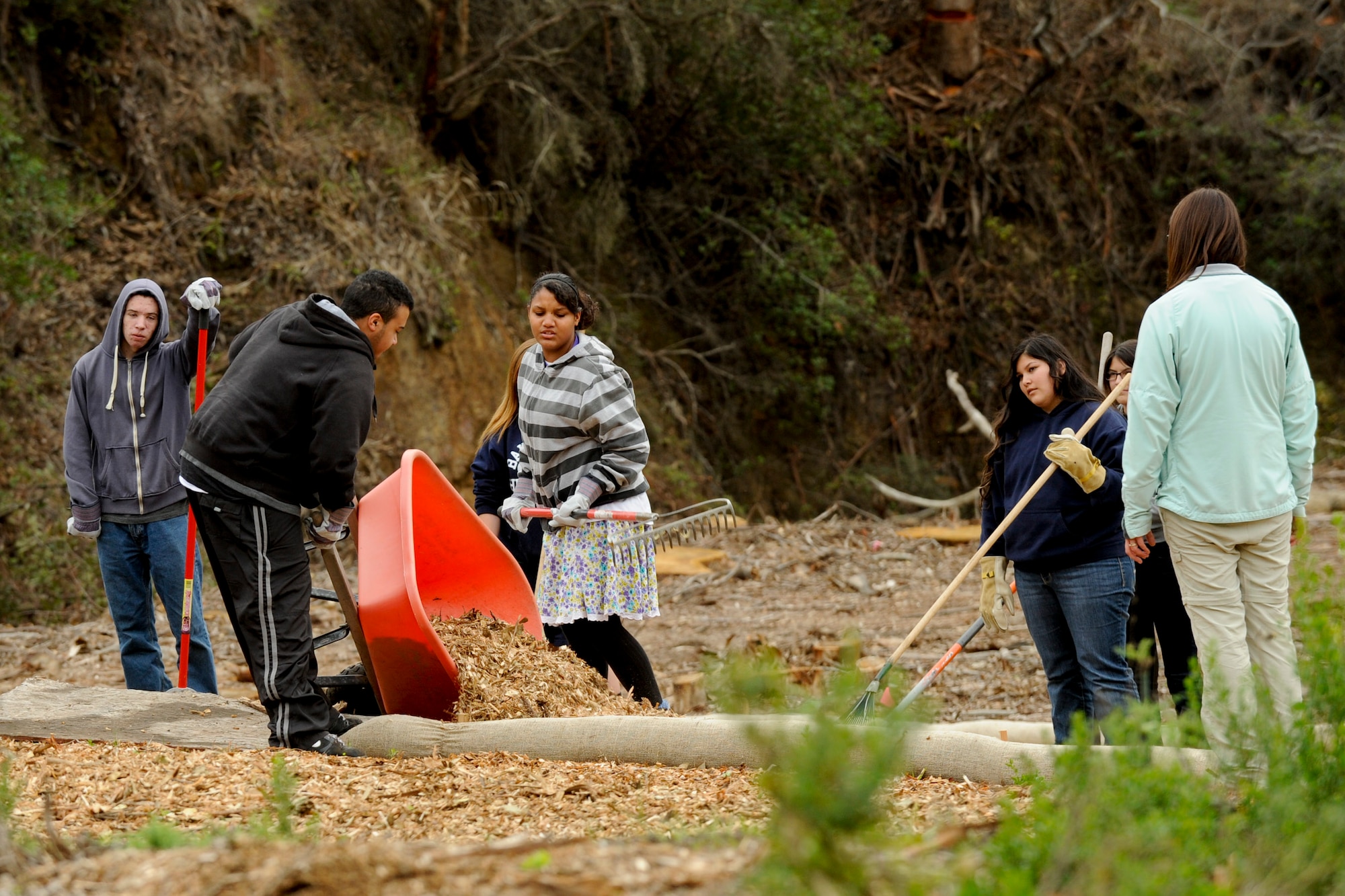 VANDENBERG AIR FORCE BASE, Calif. -- Bakersfield High School Air Force Junior Reserve Officers' Training Corps members spread mulch at Honda Creek on South base here Friday, Dec. 14, 2012. The cadets came to Vandenberg to provide community service to the installation as part of their duties in JROTC. (U.S. Air Force photo/Staff Sgt. Levi Riendeau)
