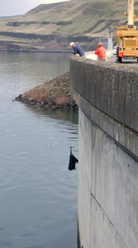 Corps of Engineers and Wash. Department of Fish and Wildlife employes dewater The Dalles Dam fish ladder. Fish remaining in the ladder are collected and returned to the Columbia River.