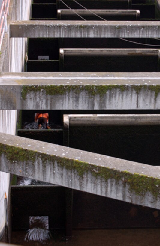 Corps of Engineers and Wash. Department of Fish and Wildlife employes dewater The Dalles Dam fish ladder. In order to access the ladder employees crawl through holes in the wiers usually used by fish. 