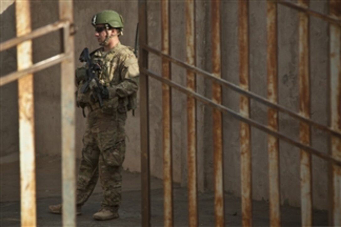 A coalition forces member maintains security during a presence patrol in the Farah province of Afghanistan, on Dec. 16, 2012.  Coalition  members participating in the patrol are training and mentoring Afghan National Security Forces members in the area.  